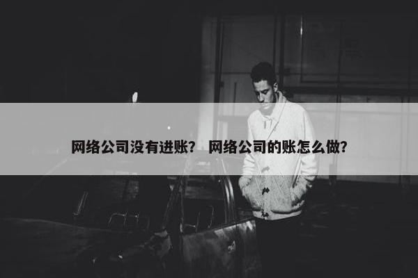 网络公司没有进账？ 网络公司的账怎么做？