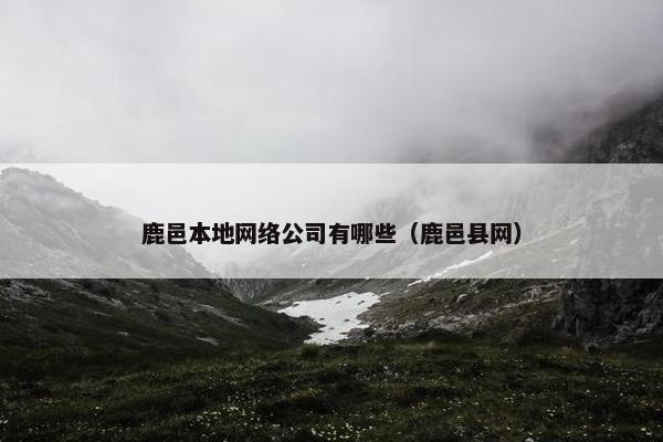 鹿邑本地网络公司有哪些（鹿邑县网）