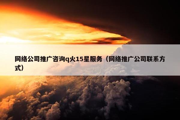 网络公司推广咨询q火15星服务（网络推广公司联系方式）