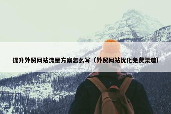 提升外贸网站流量方案怎么写（外贸网站优化免费渠道）