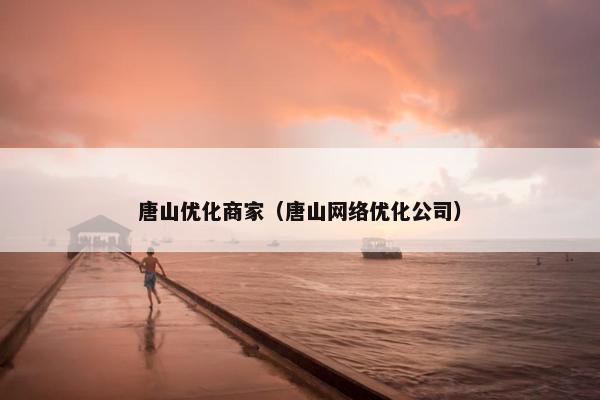 唐山优化商家（唐山网络优化公司）