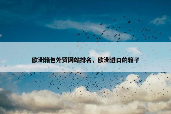 欧洲箱包外贸网站排名，欧洲进口的箱子