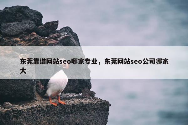 东莞靠谱网站seo哪家专业，东莞网站seo公司哪家大