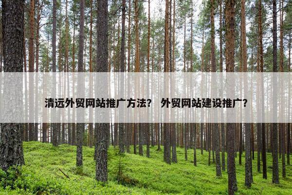 清远外贸网站推广方法？ 外贸网站建设推广？