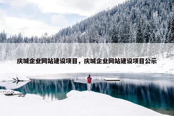庆城企业网站建设项目，庆城企业网站建设项目公示