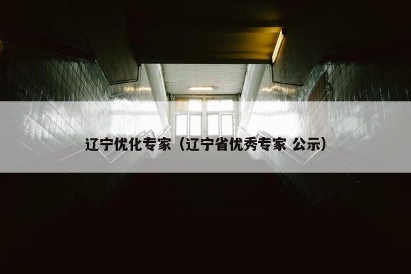 辽宁优化专家（辽宁省优秀专家 公示）