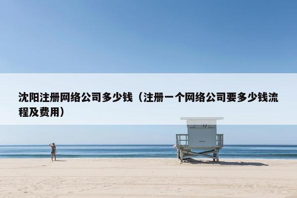 沈阳注册网络公司多少钱（注册一个网络公司要多少钱流程及费用）