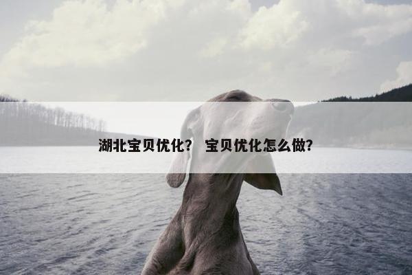 湖北宝贝优化？ 宝贝优化怎么做？