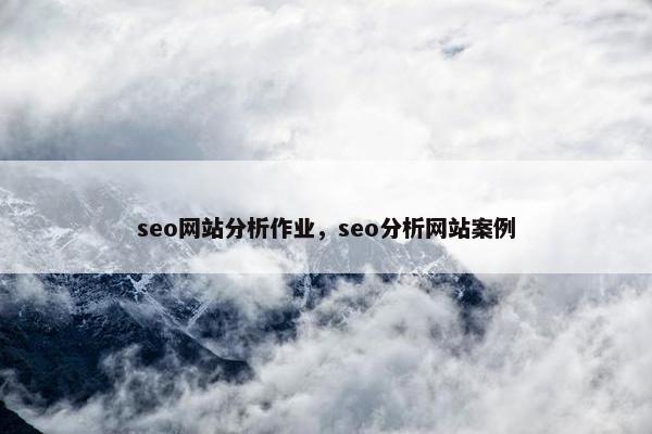 seo网站分析作业，seo分析网站案例