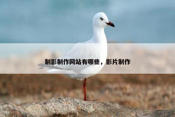 制影制作网站有哪些，影片制作