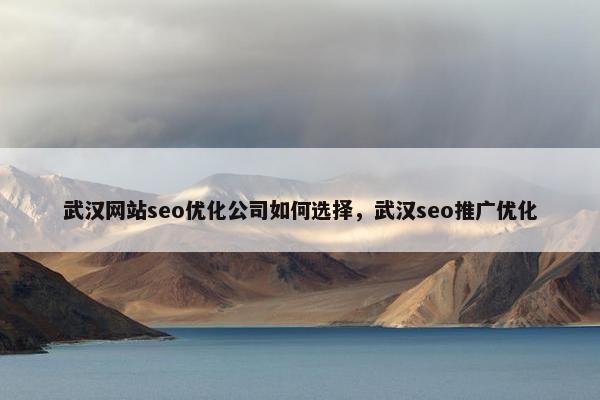 武汉网站seo优化公司如何选择，武汉seo推广优化
