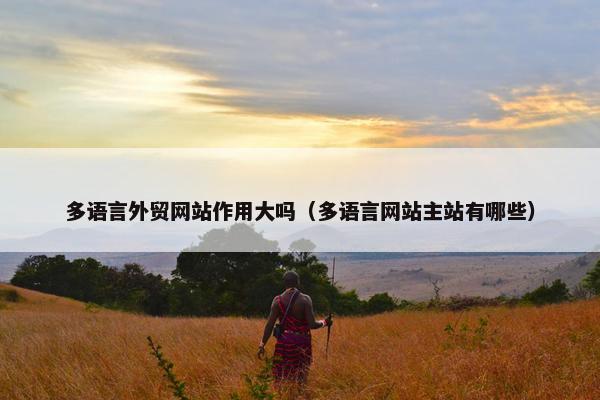 多语言外贸网站作用大吗（多语言网站主站有哪些）