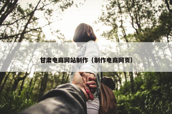 甘肃电商网站制作（制作电商网页）