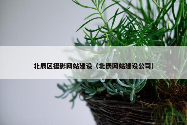 北辰区摄影网站建设（北辰网站建设公司）