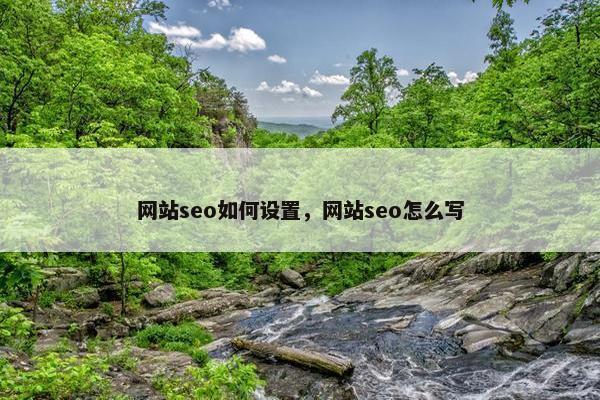 网站seo如何设置，网站seo怎么写