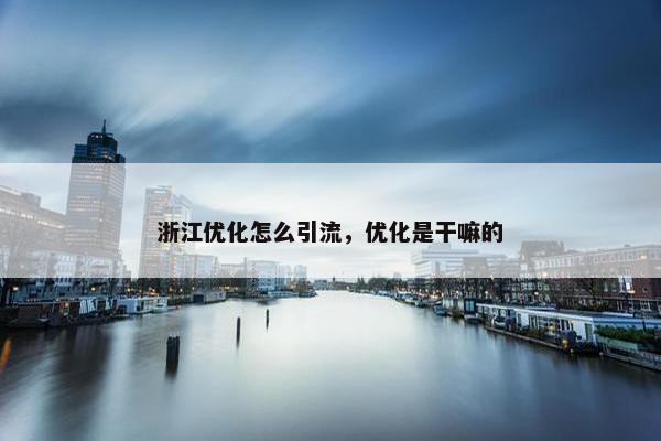 浙江优化怎么引流，优化是干嘛的