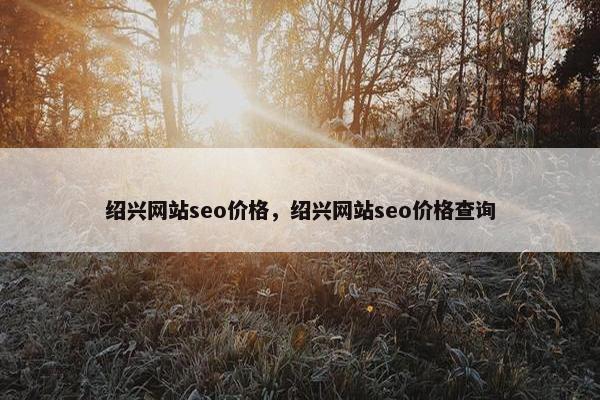 绍兴网站seo价格，绍兴网站seo价格查询