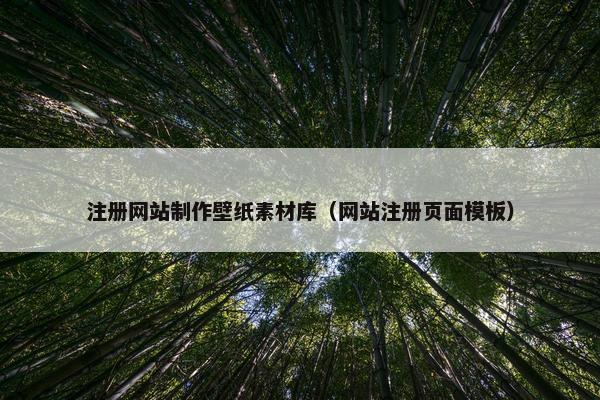 注册网站制作壁纸素材库（网站注册页面模板）
