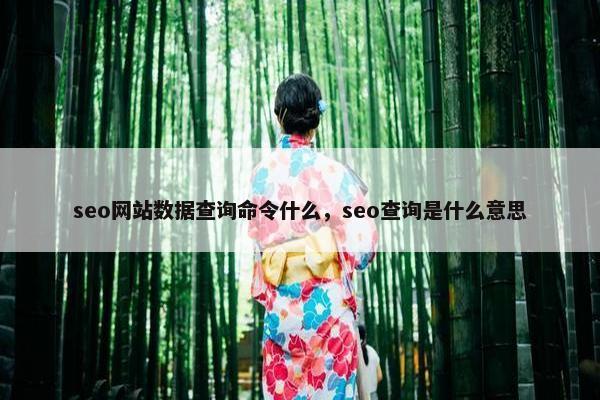seo网站数据查询命令什么，seo查询是什么意思