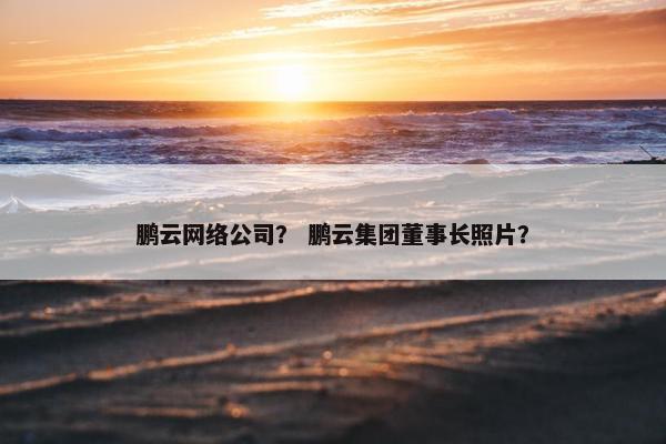 鹏云网络公司？ 鹏云集团董事长照片？