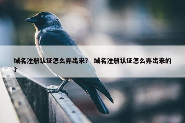 域名注册认证怎么弄出来？ 域名注册认证怎么弄出来的？
