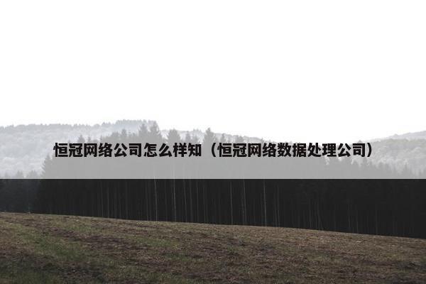 恒冠网络公司怎么样知（恒冠网络数据处理公司）