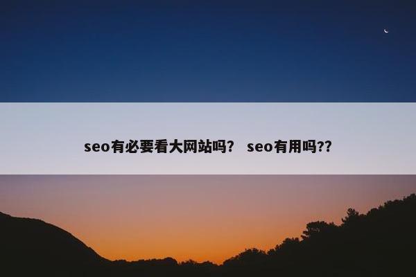 seo有必要看大网站吗？ seo有用吗?？