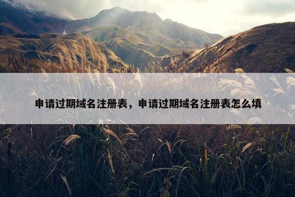 申请过期域名注册表，申请过期域名注册表怎么填