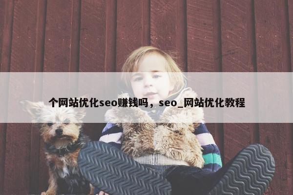 个网站优化seo赚钱吗，seo_网站优化教程