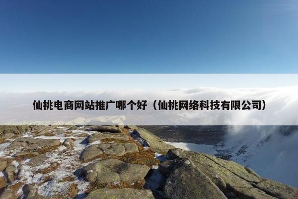 仙桃电商网站推广哪个好（仙桃网络科技有限公司）