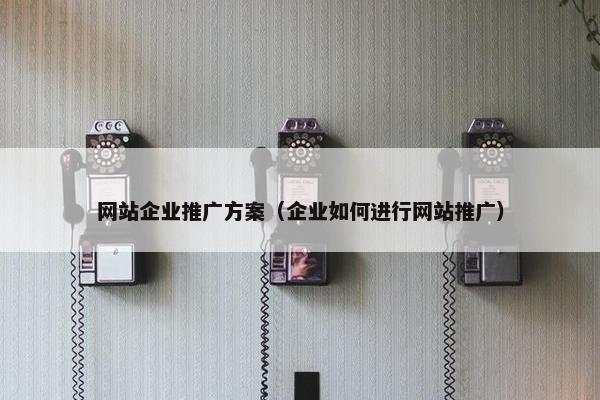 网站企业推广方案（企业如何进行网站推广）