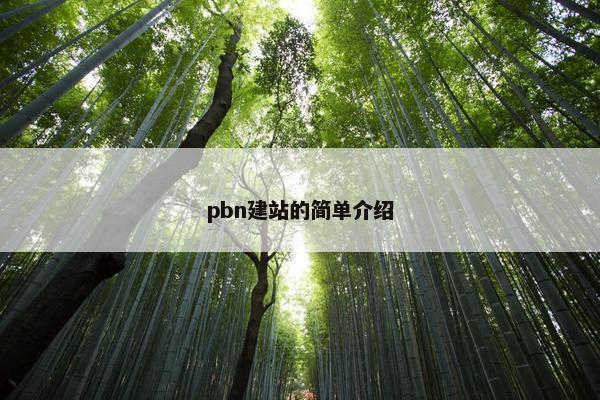 pbn建站的简单介绍