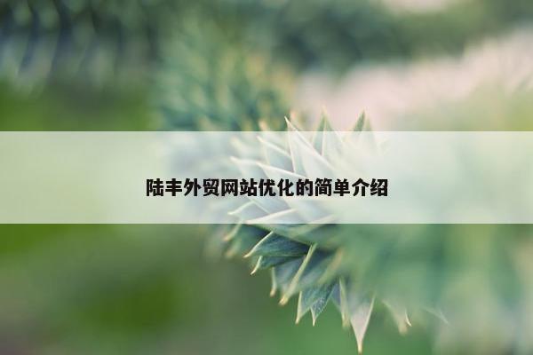 陆丰外贸网站优化的简单介绍