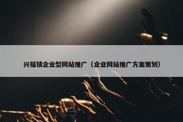 兴福镇企业型网站推广（企业网站推广方案策划）