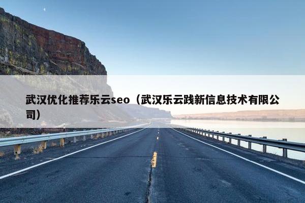 武汉优化推荐乐云seo（武汉乐云践新信息技术有限公司）