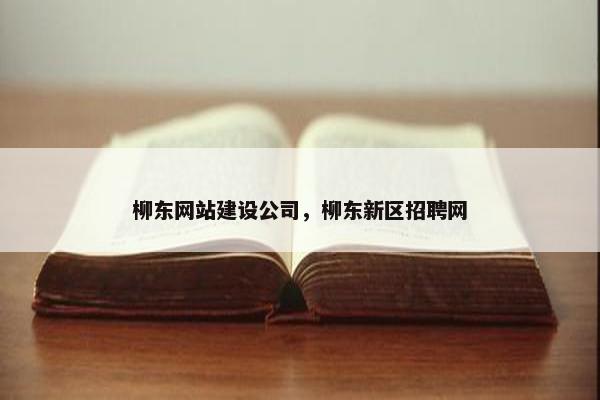 柳东网站建设公司，柳东新区招聘网