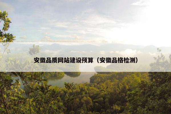 安徽品质网站建设预算（安徽品格检测）