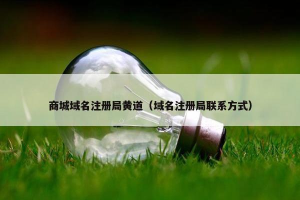 商城域名注册局黄道（域名注册局联系方式）