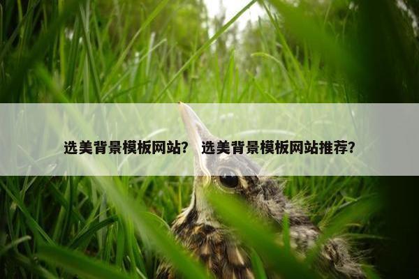选美背景模板网站？ 选美背景模板网站推荐？