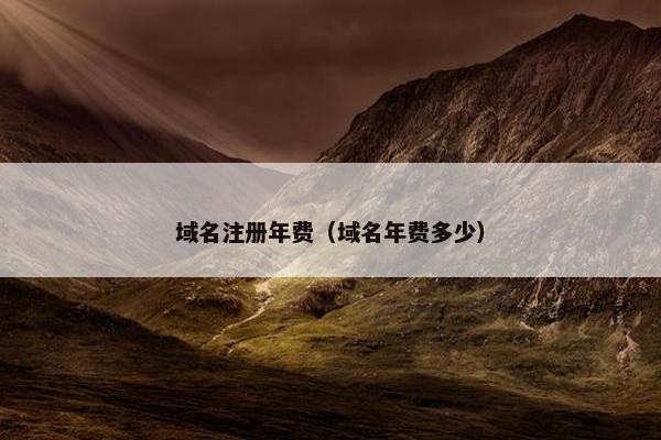 域名注册年费（域名年费多少）