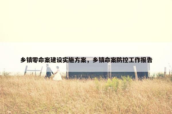 乡镇零命案建设实施方案，乡镇命案防控工作报告