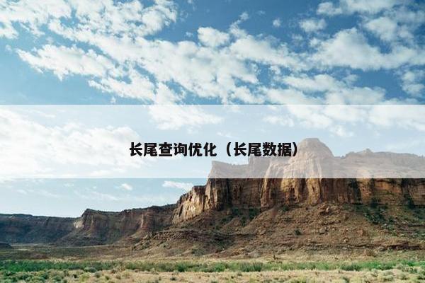 长尾查询优化（长尾数据）