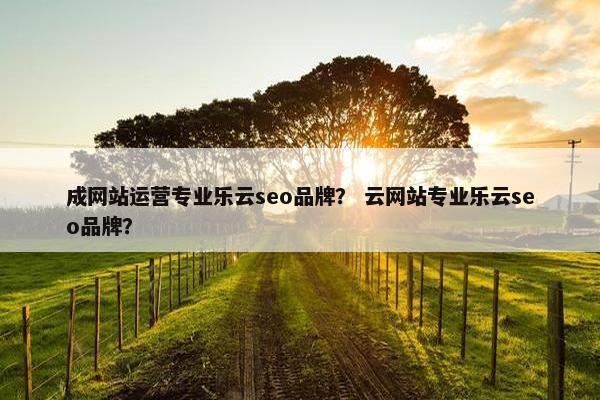 成网站运营专业乐云seo品牌？ 云网站专业乐云seo品牌？