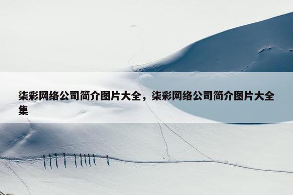 柒彩网络公司简介图片大全，柒彩网络公司简介图片大全集