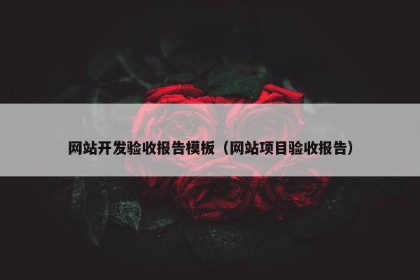 网站开发验收报告模板（网站项目验收报告）