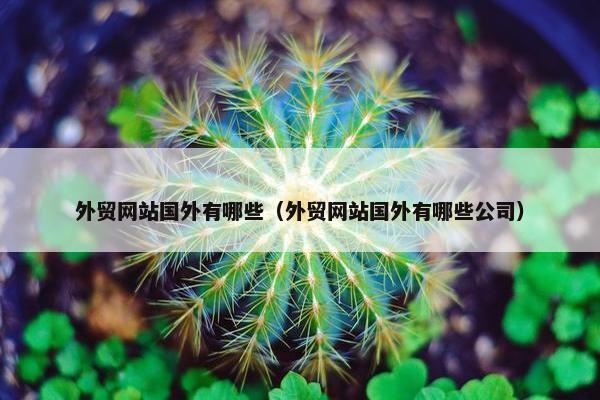 外贸网站国外有哪些（外贸网站国外有哪些公司）
