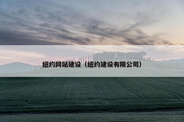 纽约网站建设（纽约建设有限公司）