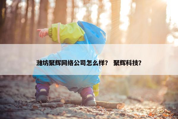 潍坊聚辉网络公司怎么样？ 聚辉科技？