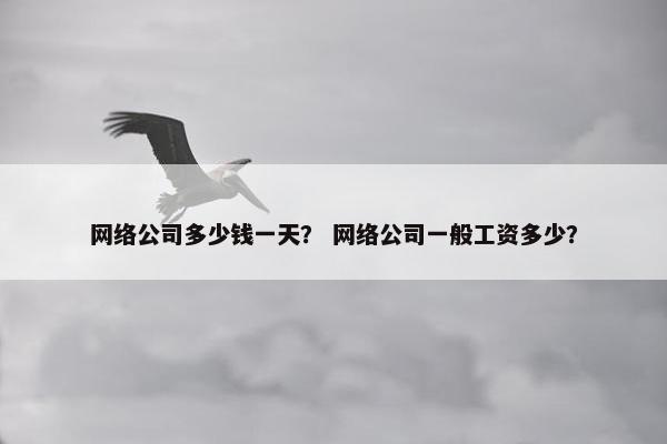 网络公司多少钱一天？ 网络公司一般工资多少？