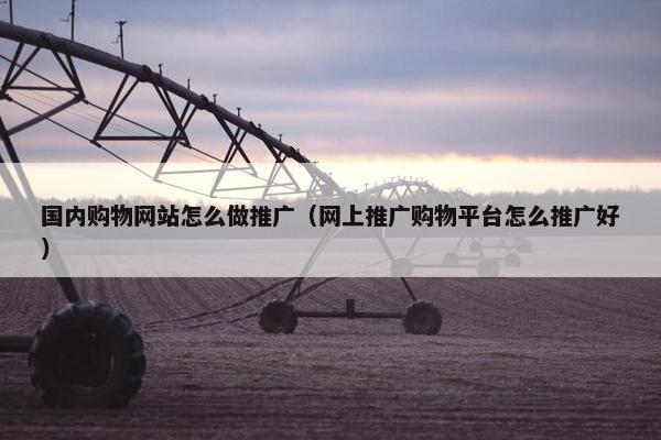 国内购物网站怎么做推广（网上推广购物平台怎么推广好）
